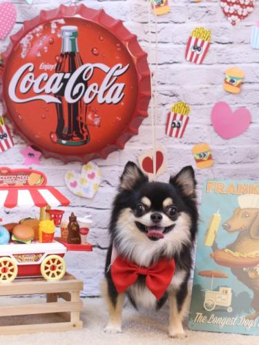 20230906ボスくん